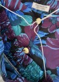 IMG_4325.jpeg