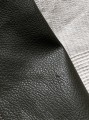IMG_4306.jpeg